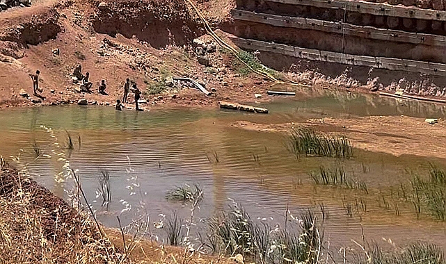 Vekil Tanal, Yılan Hikayesine Dönen Urfa Adliyesi Ek Binasını Bakana İletti