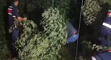 Zehir Tacirlerine Yönelik Dev Operasyon! 83 Gözaltı 