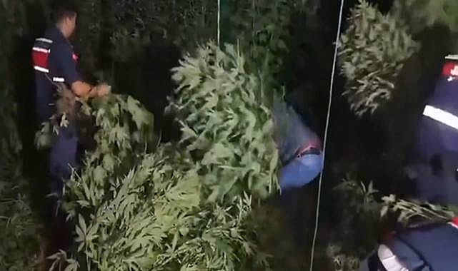 Zehir Tacirlerine Yönelik Dev Operasyon! 83 Gözaltı 