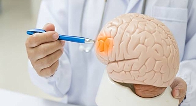 Zihinsel Yeteneği Düşük Gençler Daha Yüksek İnme Riskiyle Karşı Karşıya