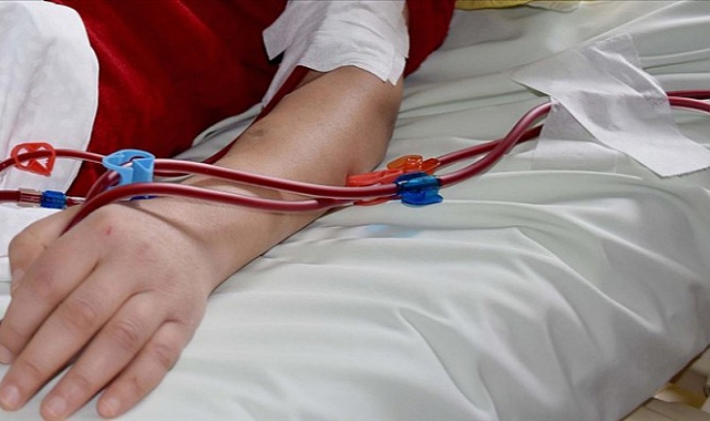 Böbrek Temizliği: İhtiyacınız Var mı?