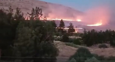 Bozova’da Orman Yangını! 