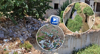 Cavsak Deresinde Pes Dedirten Görüntüler! DSİ Yıkıp Gitti