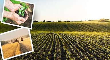 Çiftçilerin Hesaplarına Aktarılıyor! İşte Detaylar 