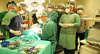 Harran Tıp’ta Kulak Burun Boğaz Uzmanları Bir Araya Geldi