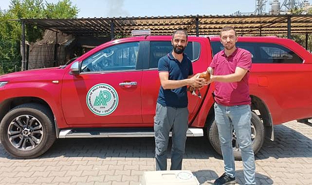 Hilvan’da Bitkin Halde Bulunan Angut Kuşu Tedavi Altına Alındı