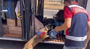 Şanlıurfa'nın 4 İlçesinde Dev Operasyon! Gözaltılar Var