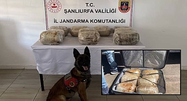 Şanlıurfa’ya Uyuşturucu Sevkiyatı Yapan Şahıs Yakalandı! 