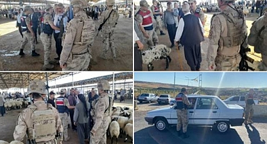 Siverek’te Canlı Hayvan Pazarında Denetim! 