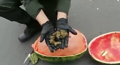 Sonunda Buda Oldu! Karpuzun İçine Uyuşturucu Madde Saklamışlar