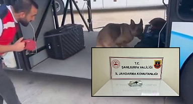 Urfa’da Durdurulan Otobüste Ele Geçirilen Madde Şaşırttı! 1 Gözaltı 