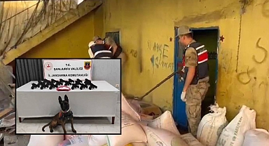 Urfa'da Silah ve Uyuşturucu Madde Ele Geçirildi! 2 Gözaltı