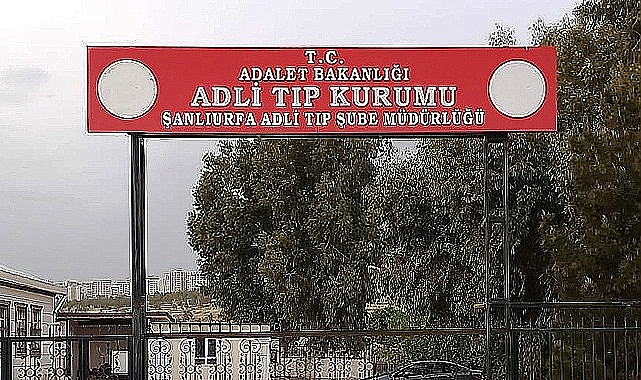 Urfa'da Yaşlı Adam Kendini Ağaca Astı!