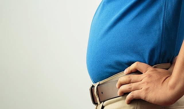 Vücut Kompozisyonu Demans veya Parkinson Riskini Etkileyebilir