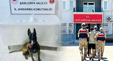 Zehir Tacirleri Ceylanpınar’da Yakayı Ele Verdi! 