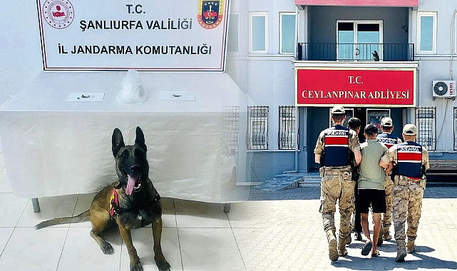 Zehir Tacirleri Ceylanpınar’da Yakayı Ele Verdi!