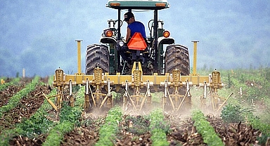 Bakanlık Açıkladı! İşlenmeyen Tarım Arazileri Kiraya Verilecek