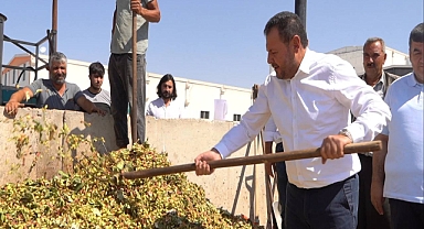 Başkan Yetim: Türkiye'de Fıstığın Yüzde Kırk Yedisi Şanlıurfa’da Üretiliyor 