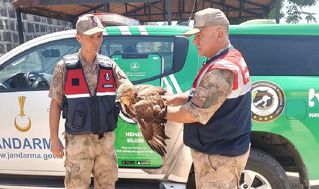 Hilvan’da Yaralı Halde Bulunan Kızıl Şahin Koruma Altına Alındı