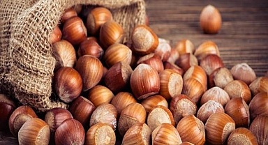 Kabuklu Fındık Alım Fiyatları Belirlendi!