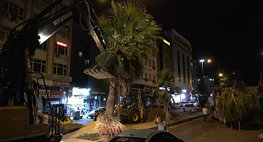 Topçu Meydanı’nda Ağaçlandırma Çalışması Yapıldı