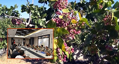 Urfa’da Fıstık Hırsızlığını Önlemek İçin İlk Defa Uygulanacak!