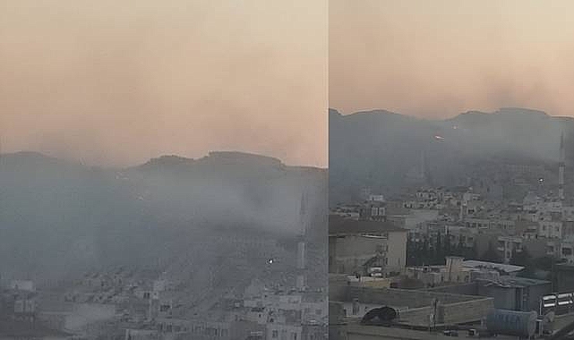 Urfa'da Ormanlık Alanda Yangın! İtfaiye Sevk Edildi