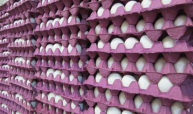 Yumurtaya Zam Geldi mi?