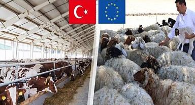 Bakanlık Açıkladı!  Hibe Tutarı 21,3 Milyar Liraya Ulaştı