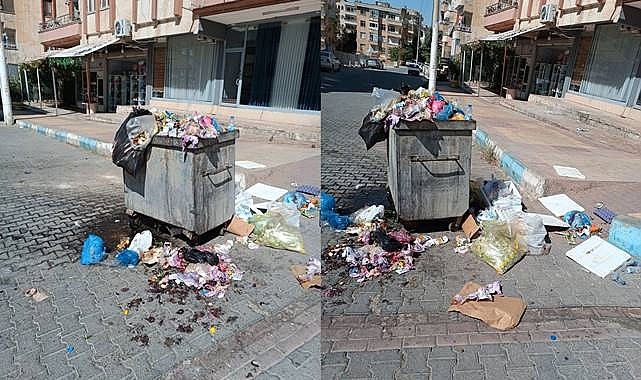 Haliliye'de Çöpten Manzaralar!