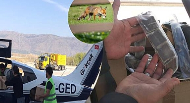 Kuduzla Mücadele İçin Yaban Hayatı Sahalarına Havadan Aşılı Yemler Bırakılıyor
