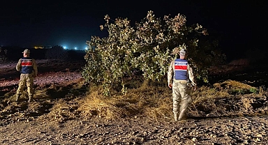 Şanlıurfa'da Fıstık Hırsızları Suçüstü Yakalandı! 