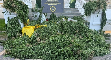 Şanlıurfa’da Uyuşturucu Operasyonu! 6 Gözaltı 