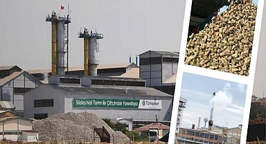 Şeker Pancarı Alım Fiyatı Belli Oldu