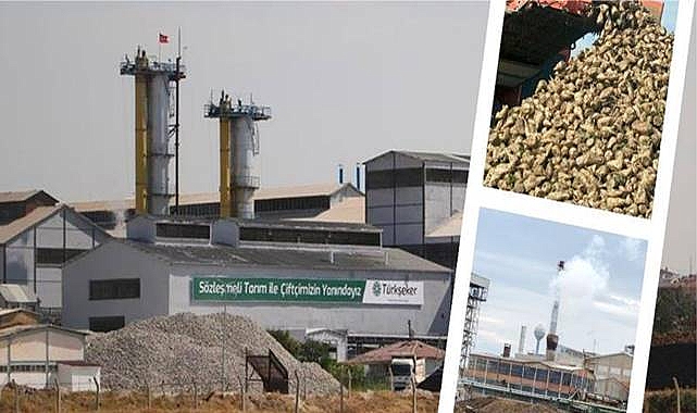 Şeker Pancarı Alım Fiyatı Belli Oldu