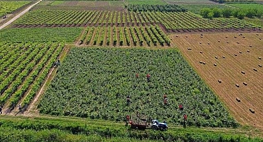 Tarımsal Destek Ödemesi Çiftçilerin Hesaplarına Aktarılıyor