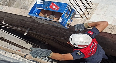 Urfa’da 2 Yavru Kedinin İmdadına İtfaiye Ekipleri Yetişti! 