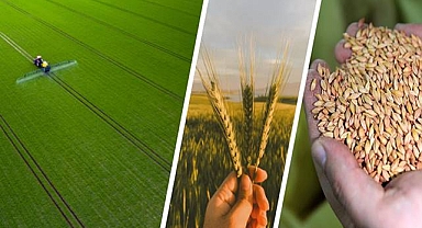 Destekleme Ödemesi Üreticilerin Hesaplarına Aktarılıyor