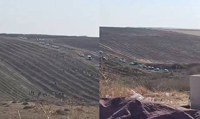 Hilvan'da Yer Fıstığı Tarlası Talan Edildi