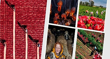 Tarım Orman Ve İnsan Fotoğraf Yarışması’nın Sonuçları Açıklandı