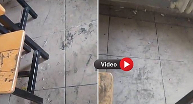 Urfa'da Okul Sınıfları Çöplük Yuvasına Döndü! 