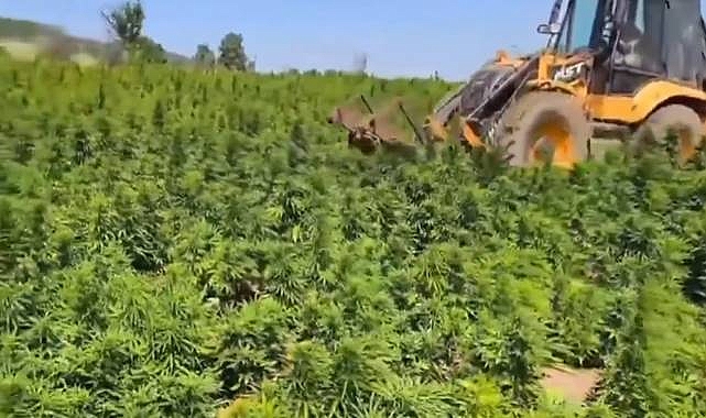 Zehir Tacirlerine Darbe! 2 Tona Yakın Uyuşturucu Ele Geçirildi 