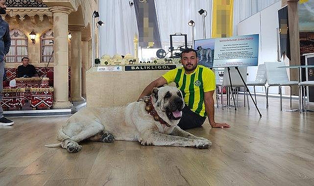 Başkan Yunus Emre Kılıç'tan Sitem Dolu Sözler