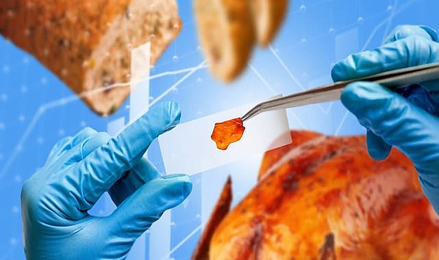 Beslenme Savaşı: Hindi Kızartmaları ve Bitki Bazlı Alternatifler