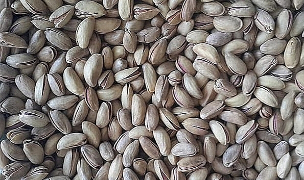 Şanlıurfa'da Fıstık Fiyatları Açıklandı: İşte Fiyat Listesi