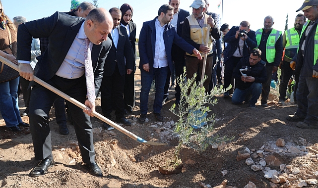 Urfa’da Binlerce Fidan Toprakla buluştu