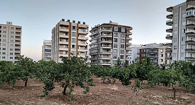 Şanlıurfa’nın Verimli Ovaları Betonlaşıyor