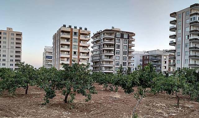 Şanlıurfa’nın Verimli Ovaları Betonlaşıyor