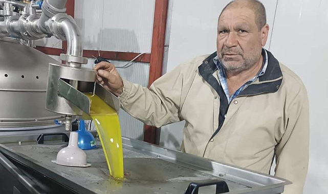 Zeytinyağı Fiyatlarında Rekor Artış: 5 Bin TL Oldu