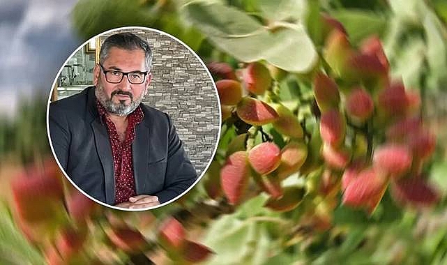 Bozova'da Kaç Adet Fıstık Ağacı Bulunuyor?